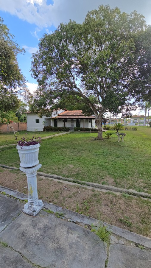 Terreno, 6900 m² - Foto 4