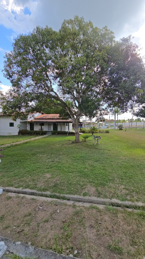 Terreno, 6900 m² - Foto 13