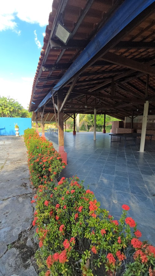 Terreno, 6900 m² - Foto 16