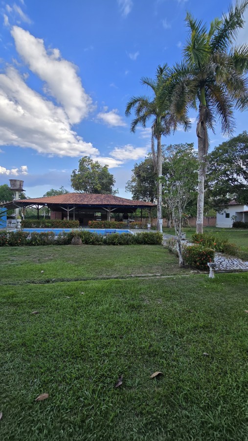 Terreno, 6900 m² - Foto 32