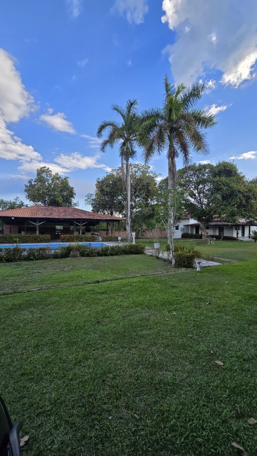 Terreno, 6900 m² - Foto 33